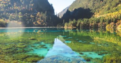 In Jiuzhaigou, a open valley reflects a triangle of light into a large and placid turquoise lake with lush plant life growing along the bottom